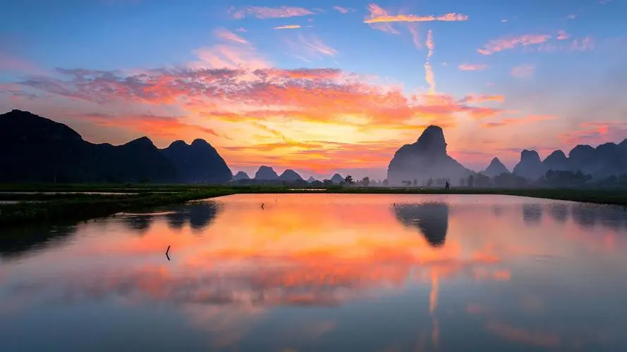 绿色绿色
